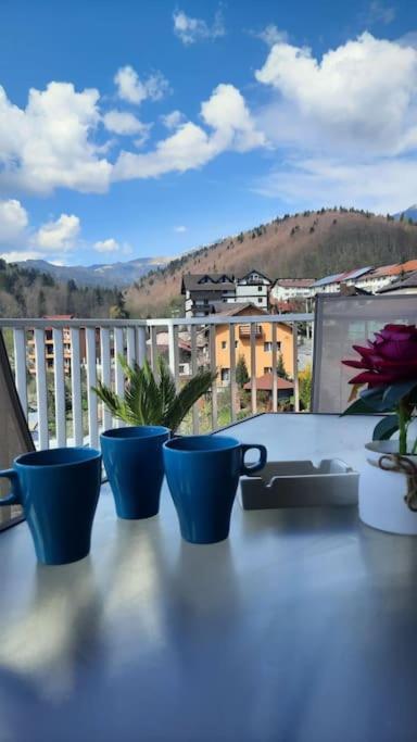 Apartament Erika Premium Sinaia Extérieur photo