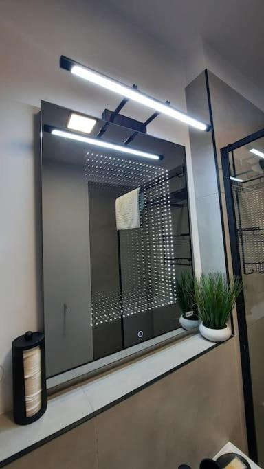 Apartament Erika Premium Sinaia Extérieur photo