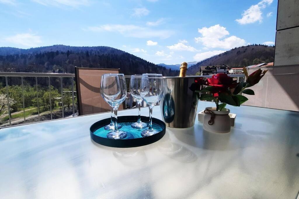 Apartament Erika Premium Sinaia Extérieur photo